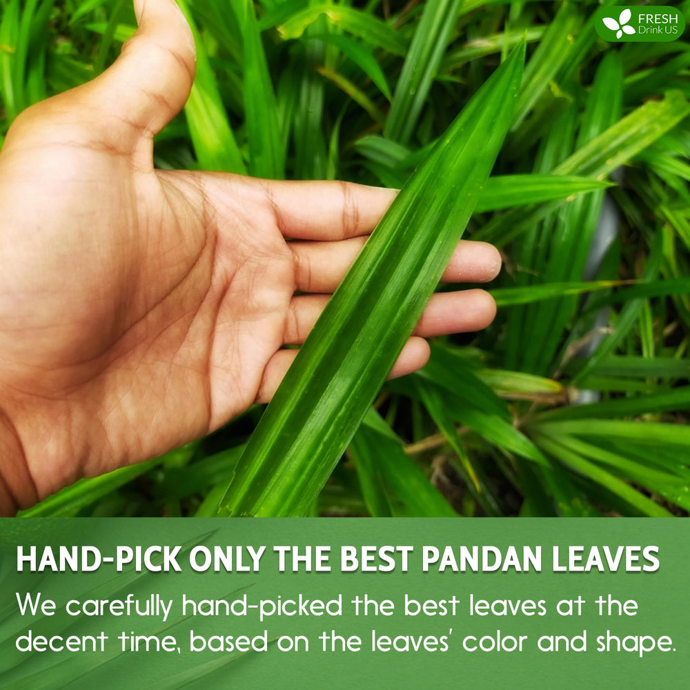 FreshDrinkUS premium ground pandan leaves for easy brewing