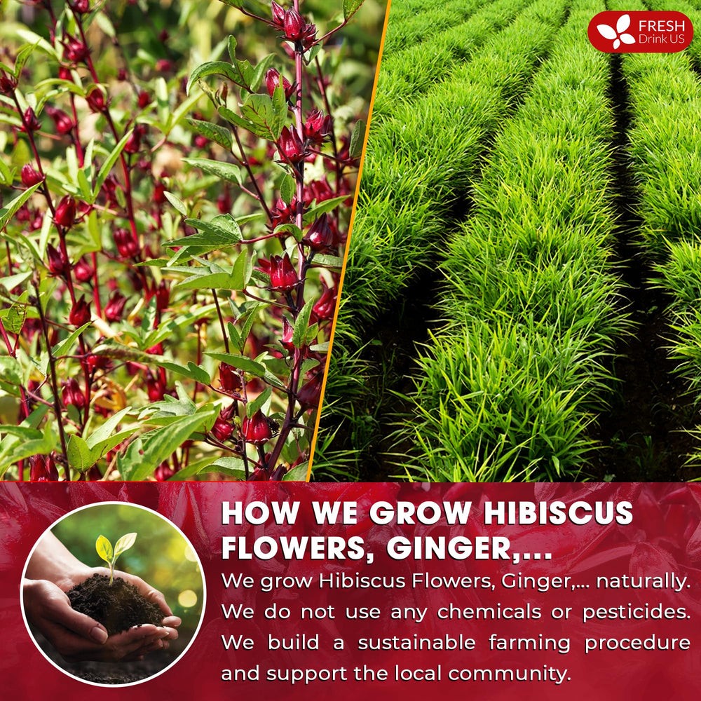 FreshDrinkUS rose hip blooms enhance fruity, fragrant character.