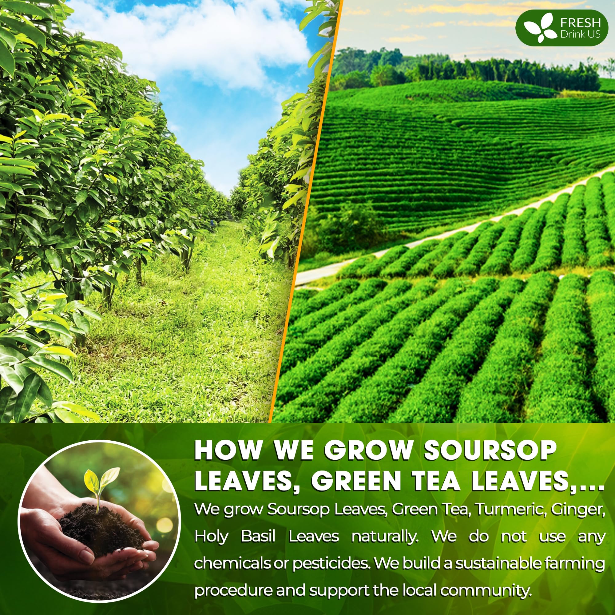FreshDrinkUS soursop-green-tea cup shows naturally smooth, tropical aroma.