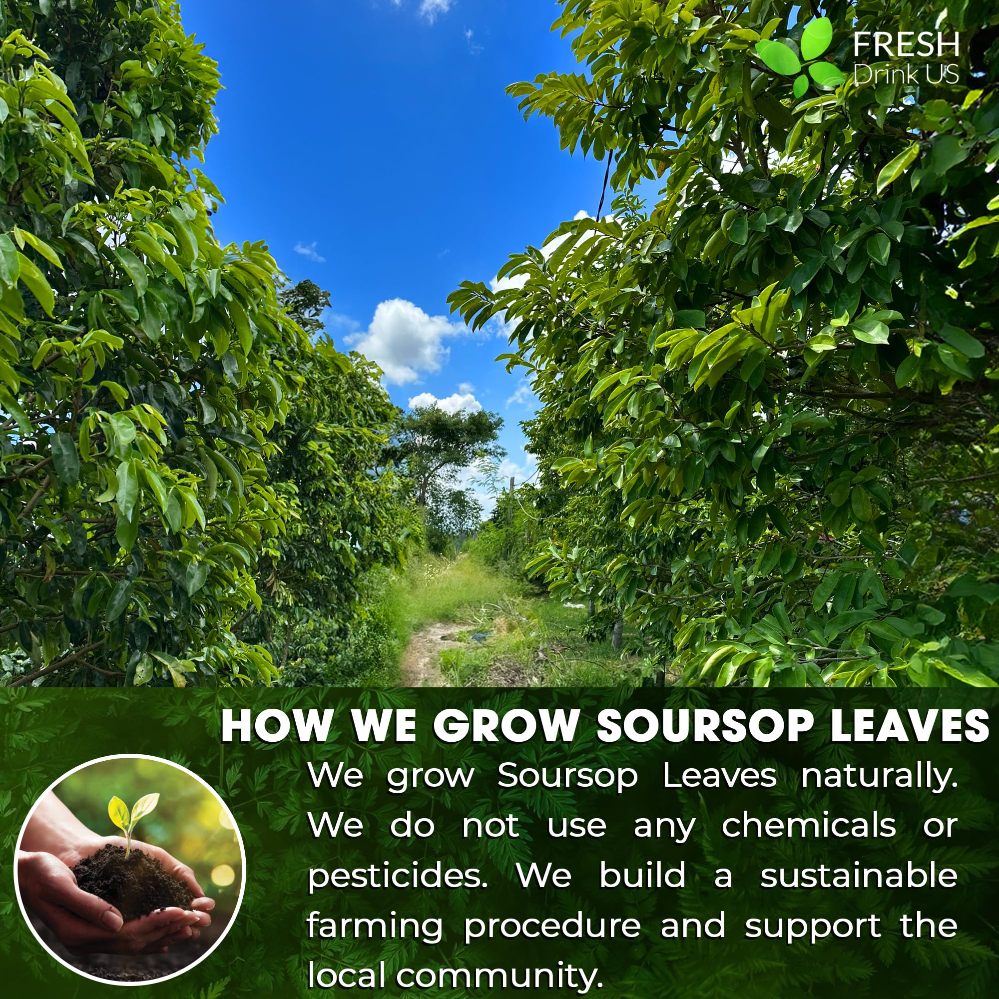 FRESHDRINKUS soursop leaf powder, vegan and non-GMO label for a trusted plant choice.