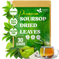 FreshDrinkUS soursop leaves farm harvest showing natural origin and quality
