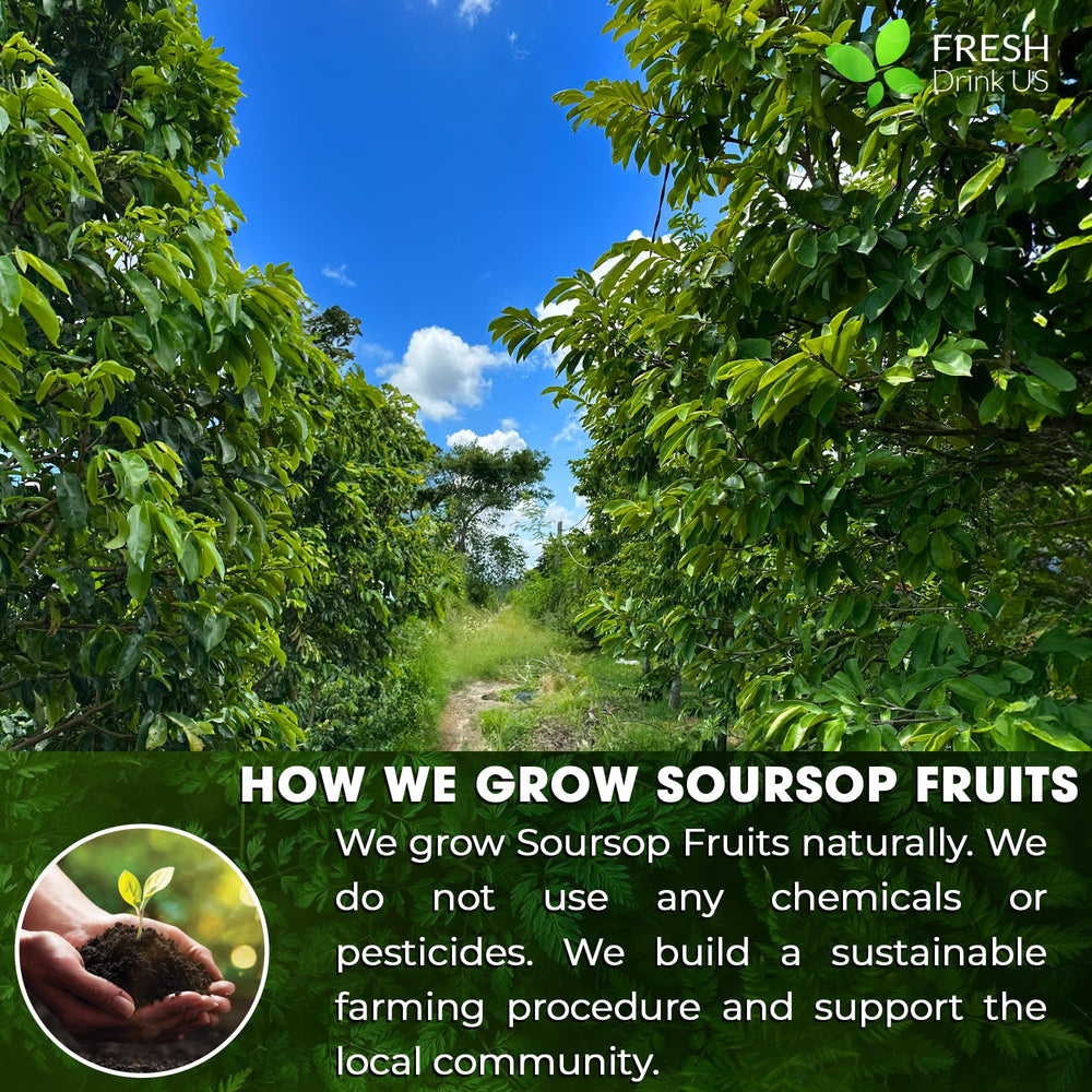 Hot water with soursop powder creates a comforting herbal shot.