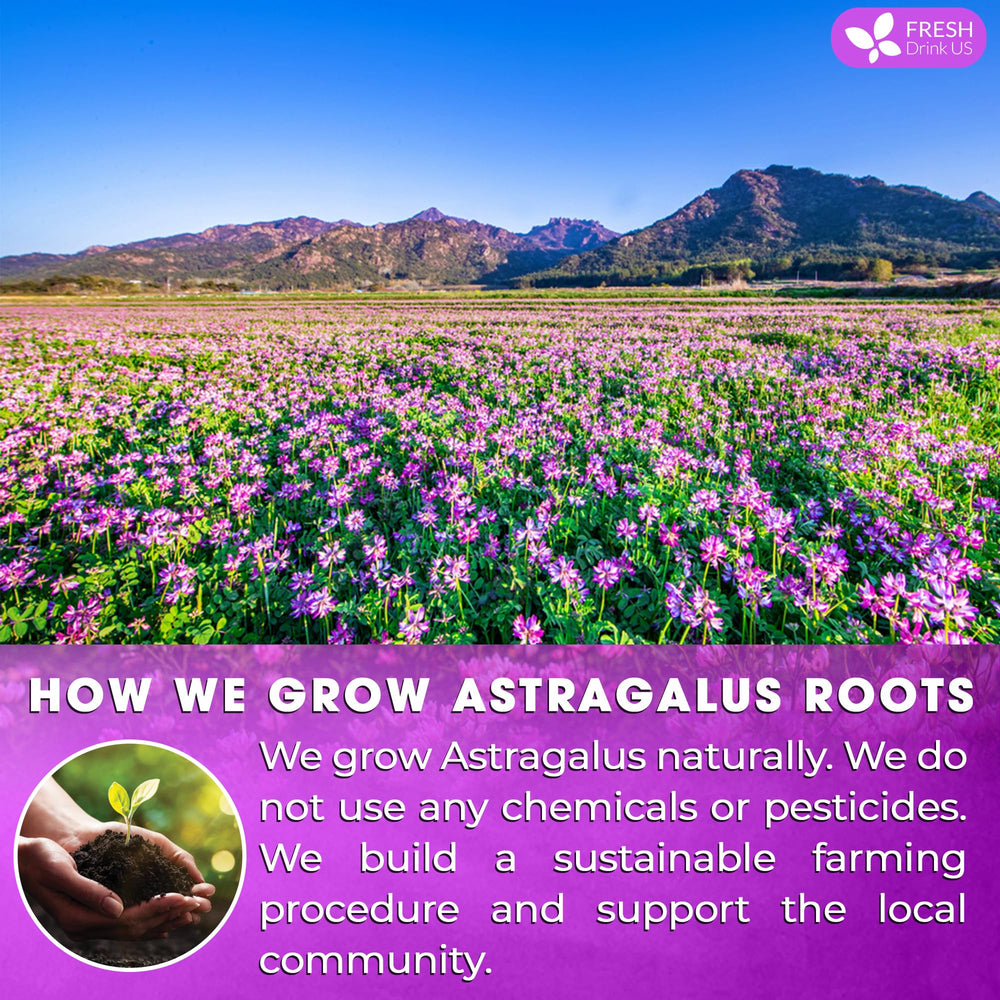 FreshDrinkUS sun-dried astragalus roots releasing earthy aroma