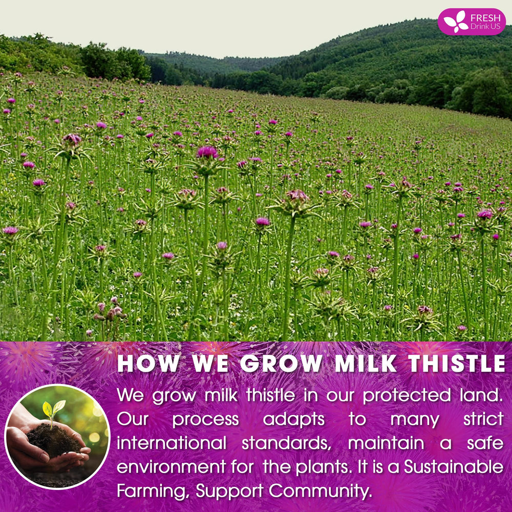 FRESHDRINKUS Sustainable family farms source the Milk Thistle seeds.