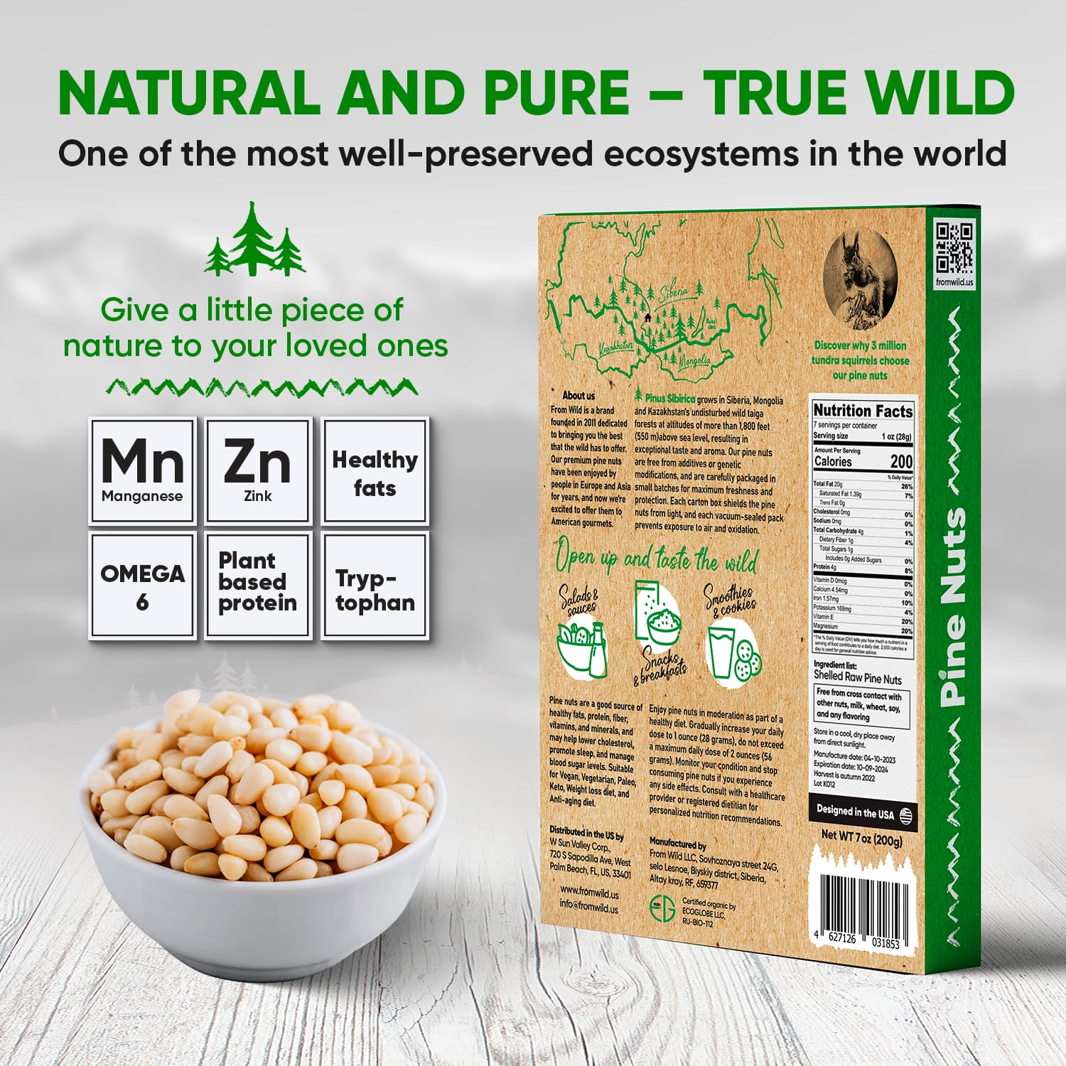FROM WILD pine nuts pesto-ready to enrich sauces and Mediterranean dishes