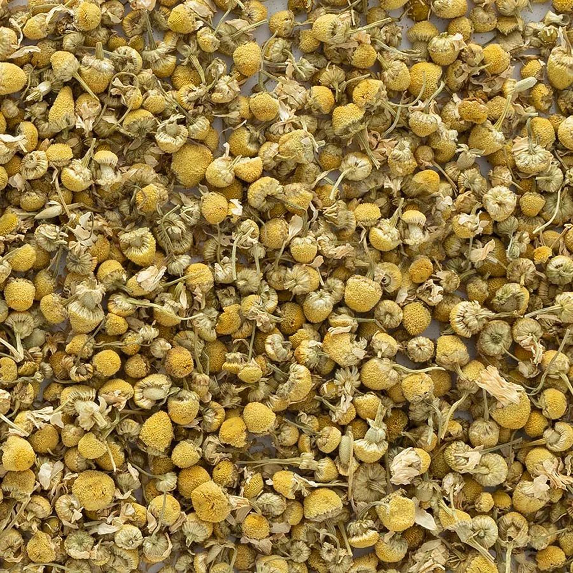 Frontier Chamomile Flowers potpourri ideas show fragrant, textured loose blooms.