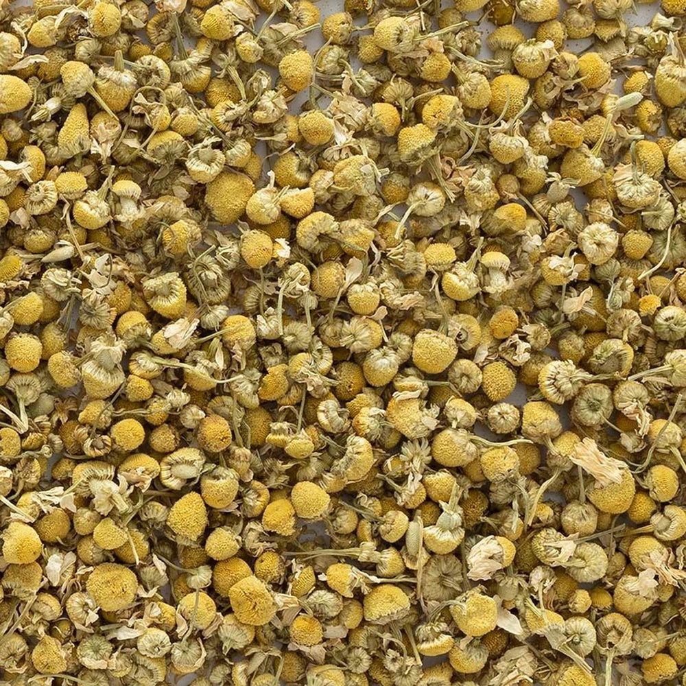 Frontier Chamomile Flowers potpourri ideas show fragrant, textured loose blooms.
