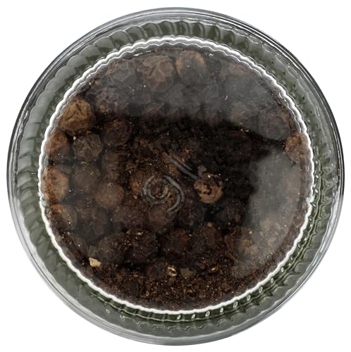 Frontier Co-op regenerative organic peppercorns badge signals trusted sourcing
