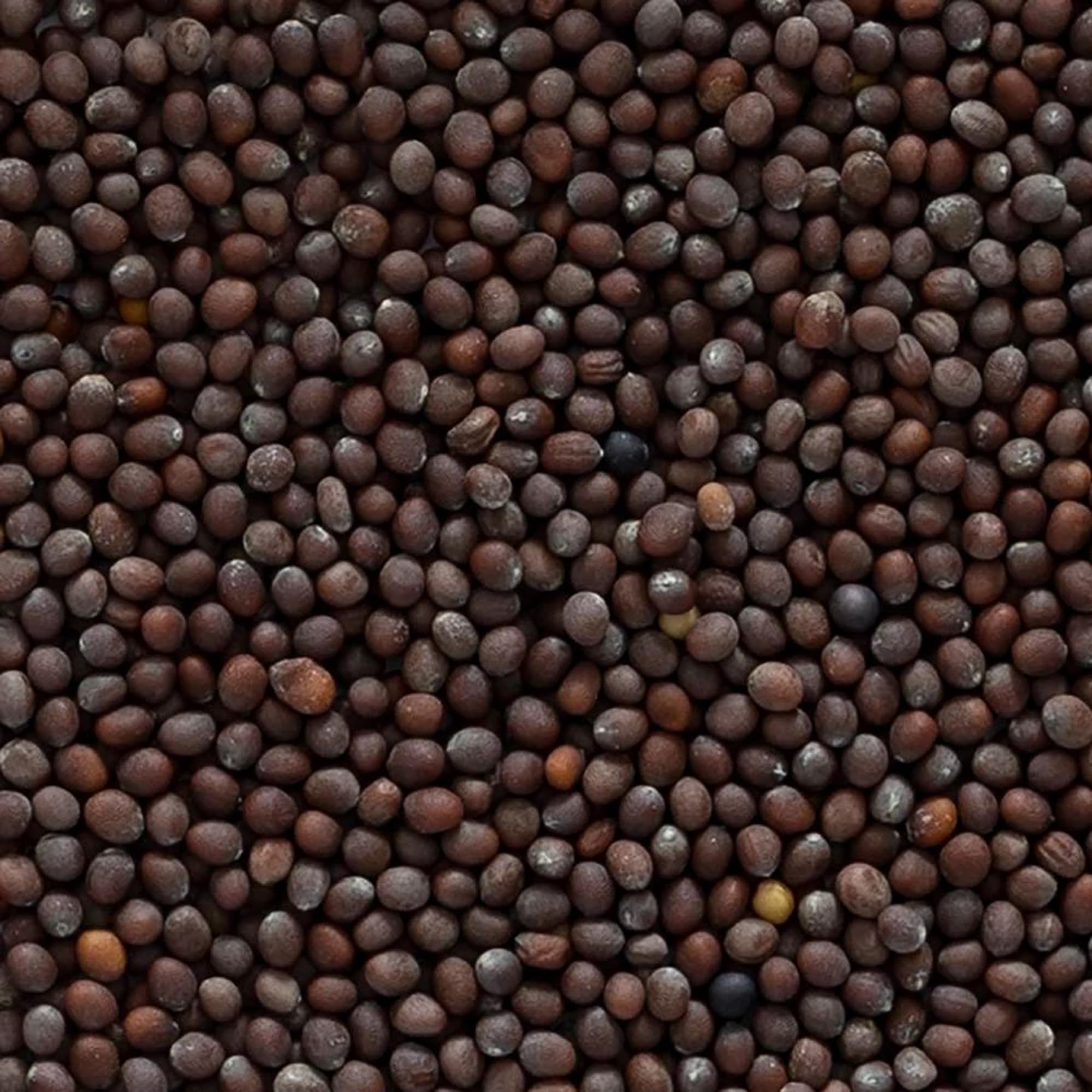 Frontier Co-op brown mustard seed jar, ready for marinades and curries.