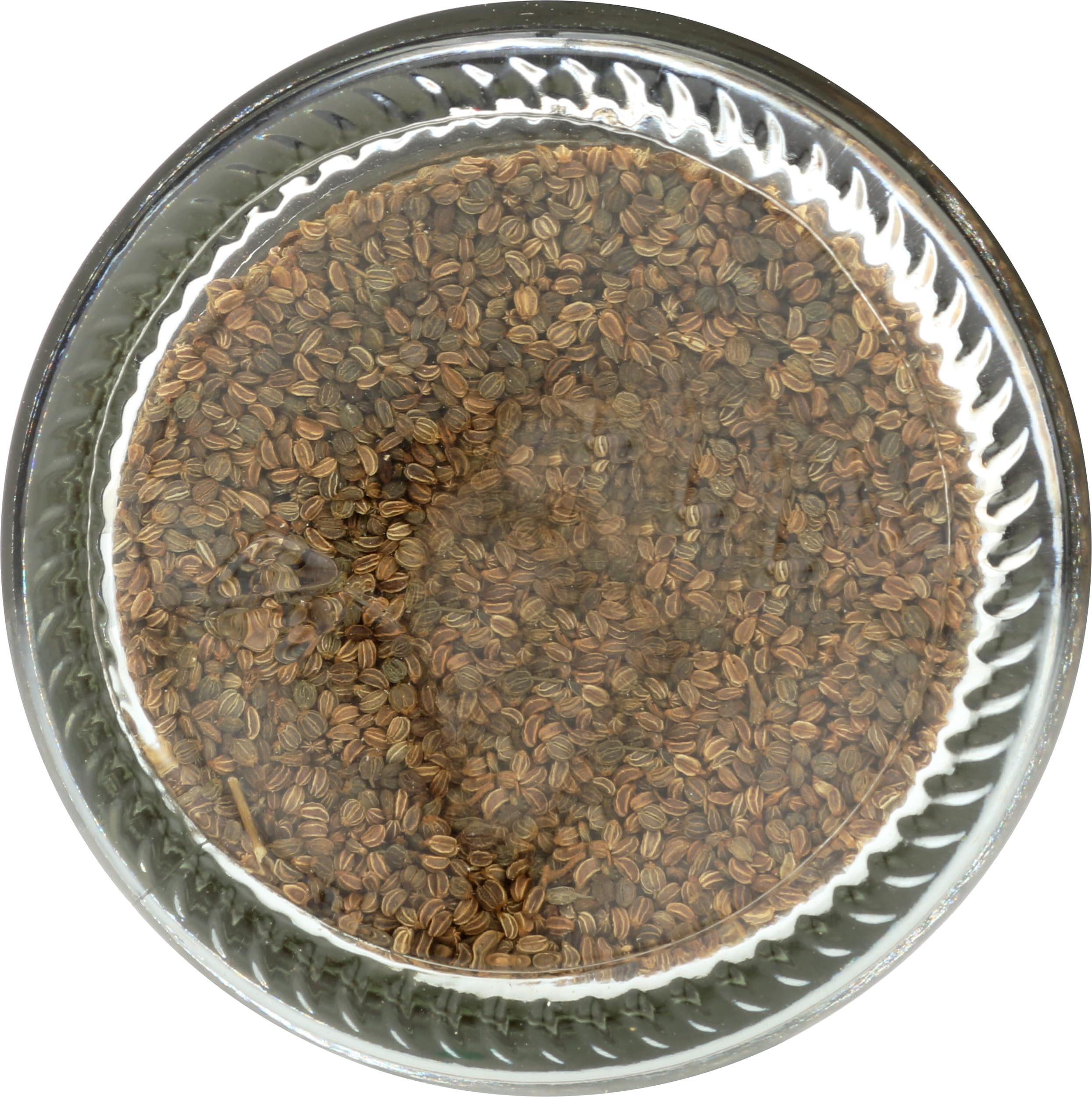 Frontier Co-op celery seed in an ethnic dish plate for flavor boost.
