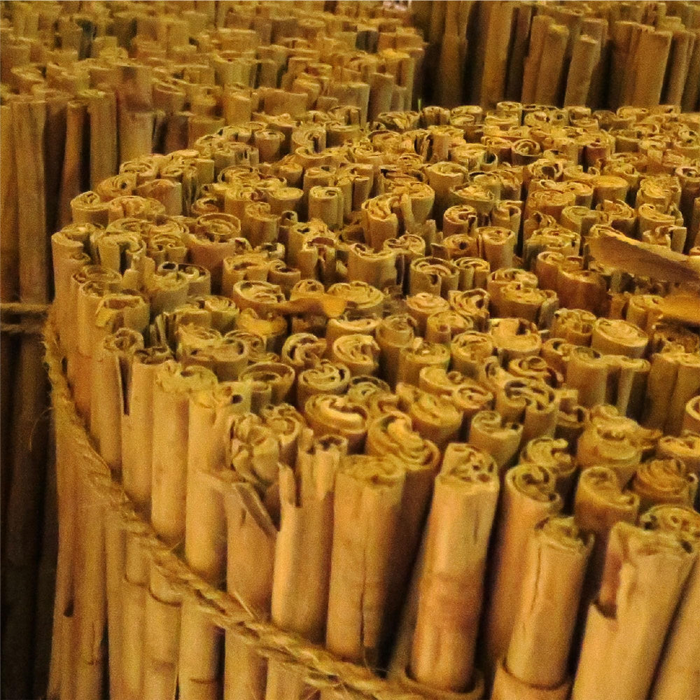 Frontier Co-op Ceylon cinnamon sticks ready to enrich hot chocolate setup