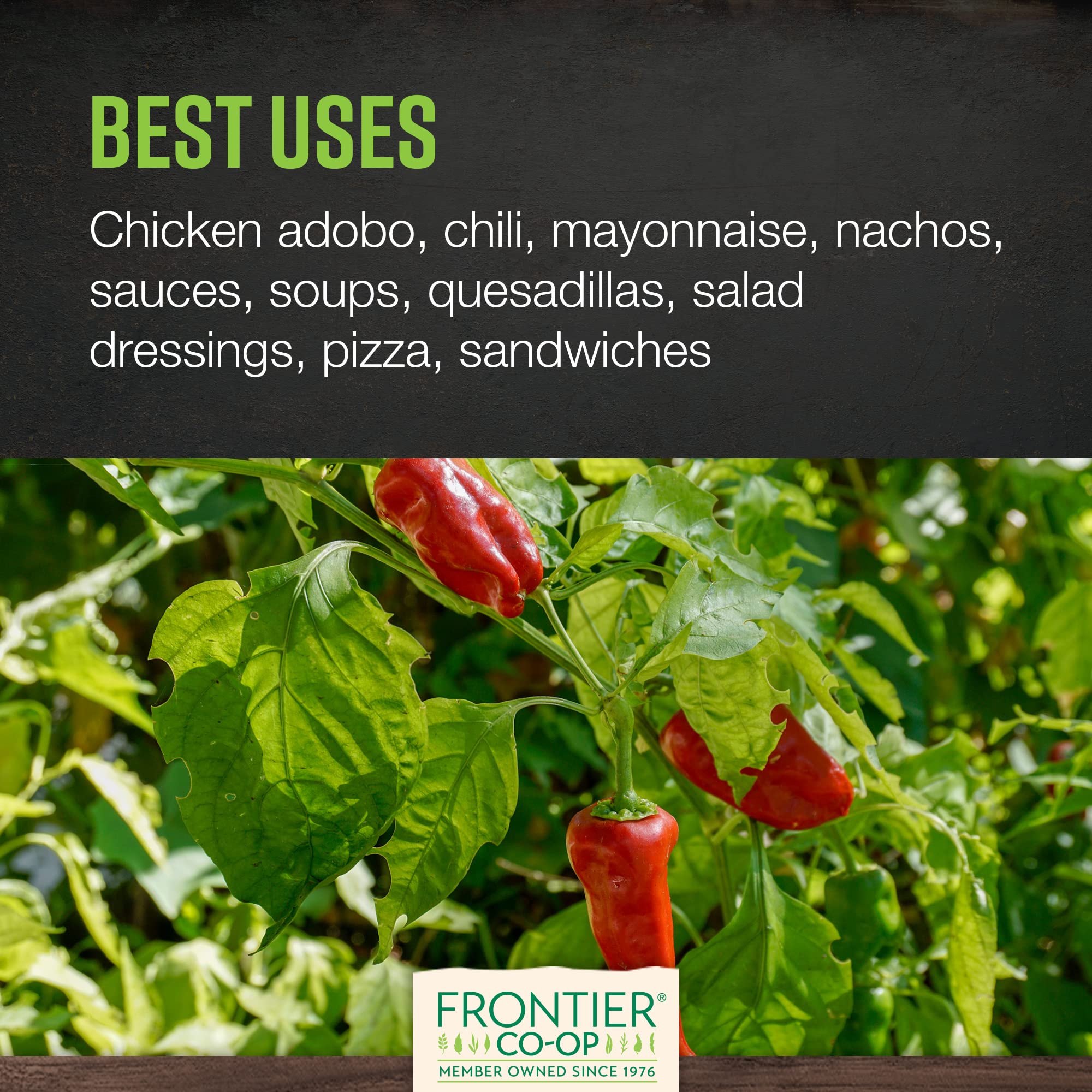 Frontier Co-op chipotle powder in bowl shows vibrant color and aroma
