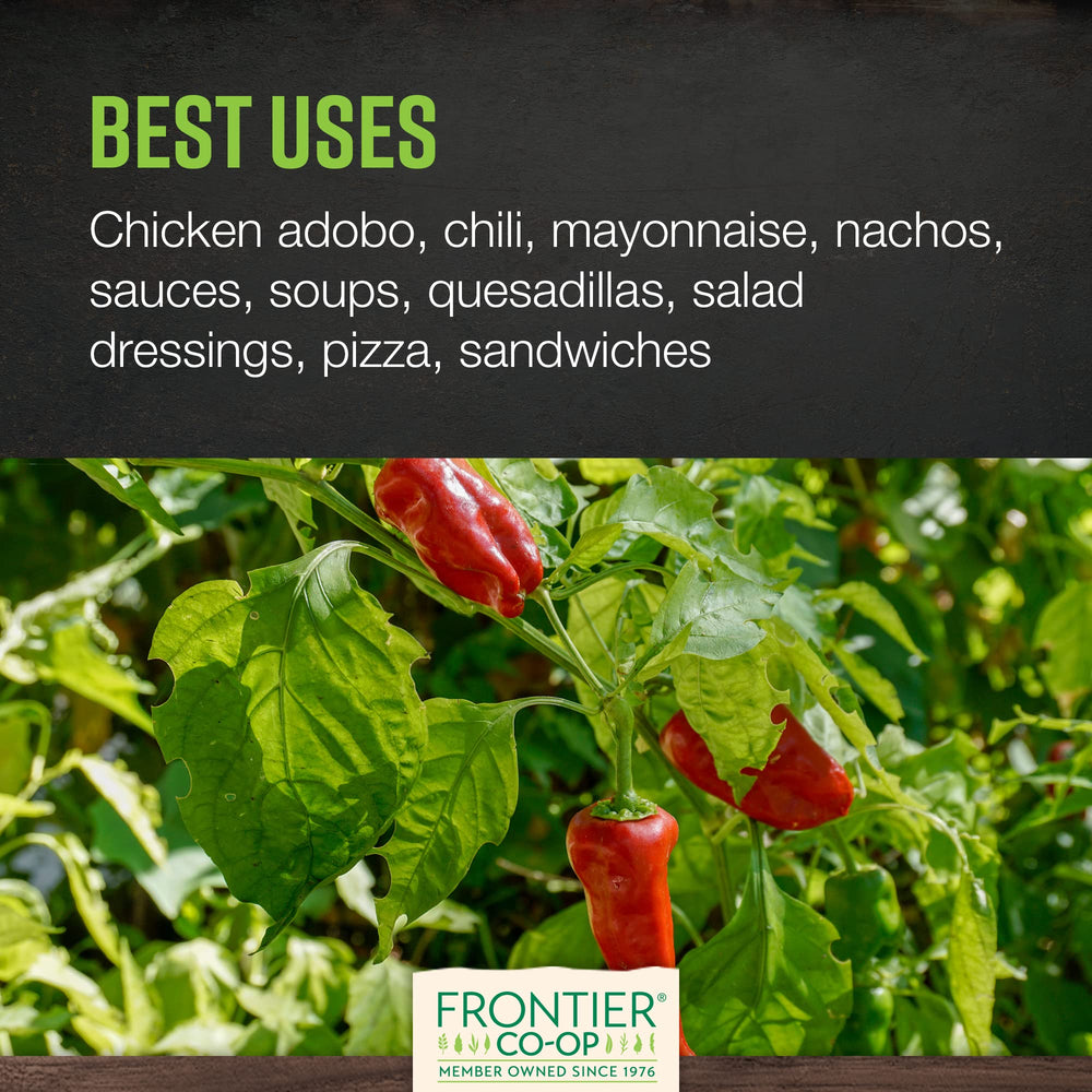 Frontier Co-op chipotle powder in bowl shows vibrant color and aroma