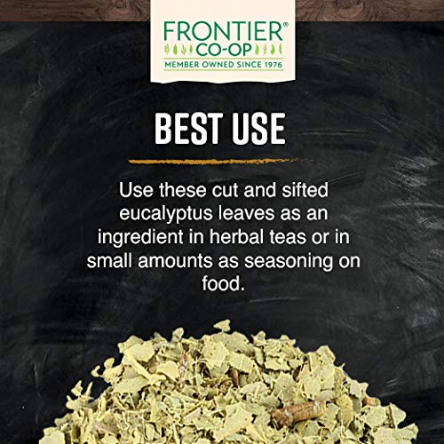Frontier Co-op eucalyptus leaf dried leaves, versatile addition for crafts