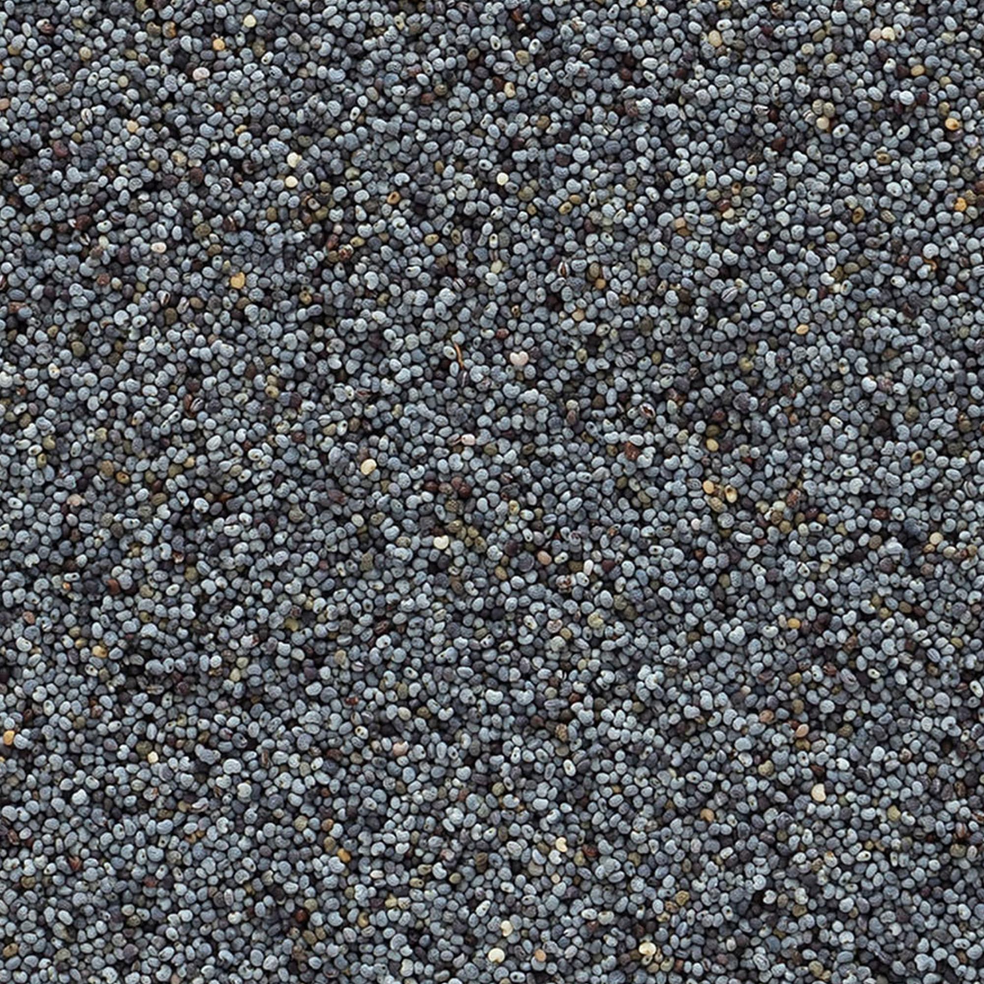 Frontier Co-op poppy seeds blue-black closeup shows vibrant color for pastries.