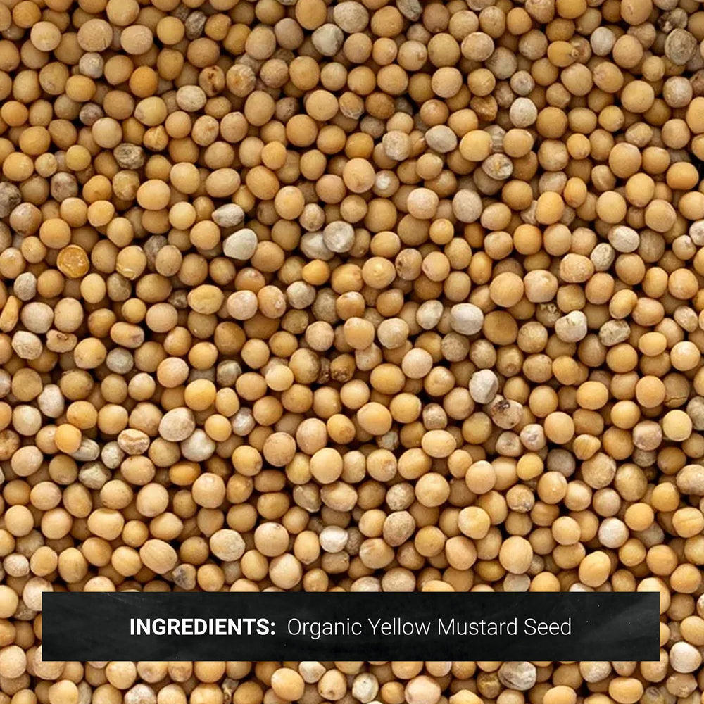 Frontier Co-op Yellow Mustard Seeds bulk pack ready for refillable spice jars.