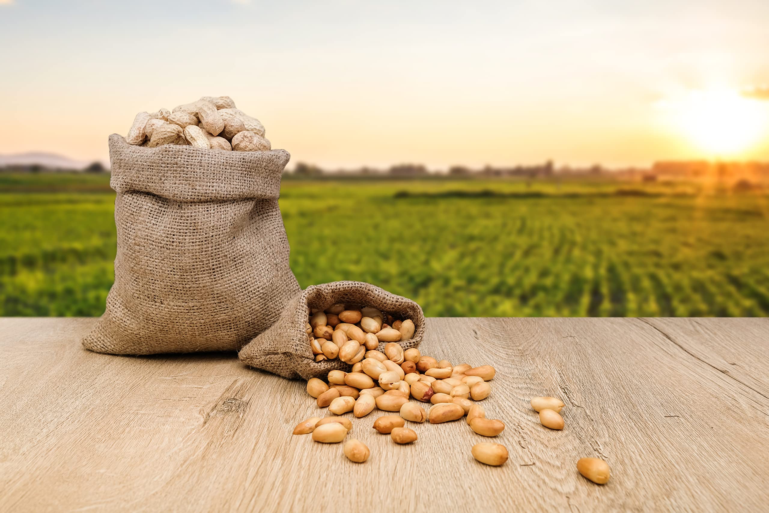 Fruidles in-shell peanuts stored neatly for easy portioning.