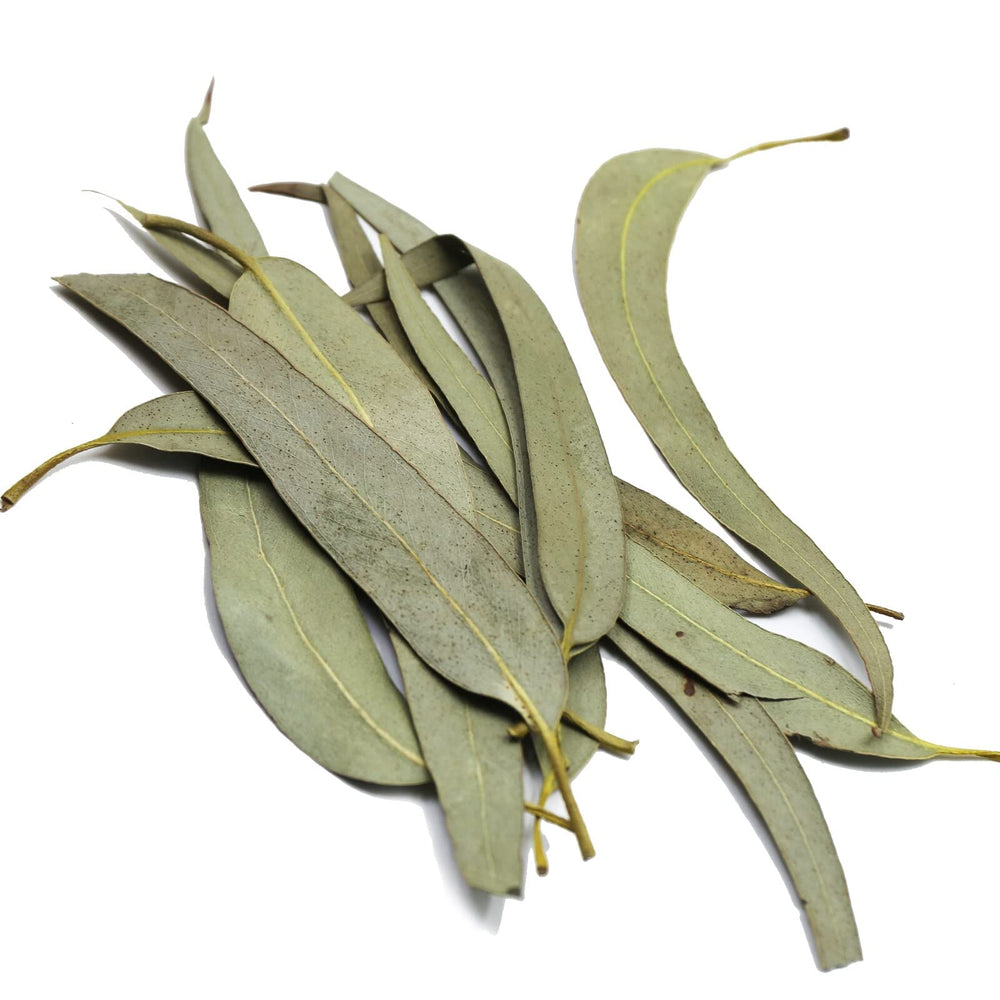 FullChea dried eucalyptus leaves whole leaf ready for DIY brews.