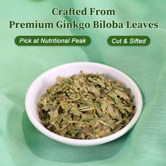 FullChea ginkgo biloba tea cup steeping highlights a calming brewing ritual.