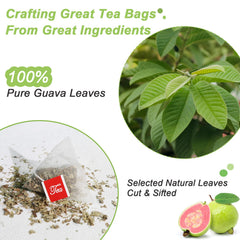 Brewing FullChea Guava Leaves Tea reveals a mild aroma and refreshing flavor.