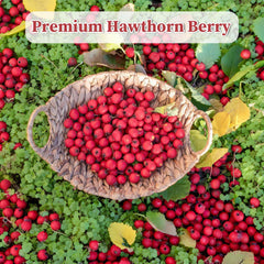 FullChea Hawthorn berries close-up highlighting natural tart aroma for brewing.