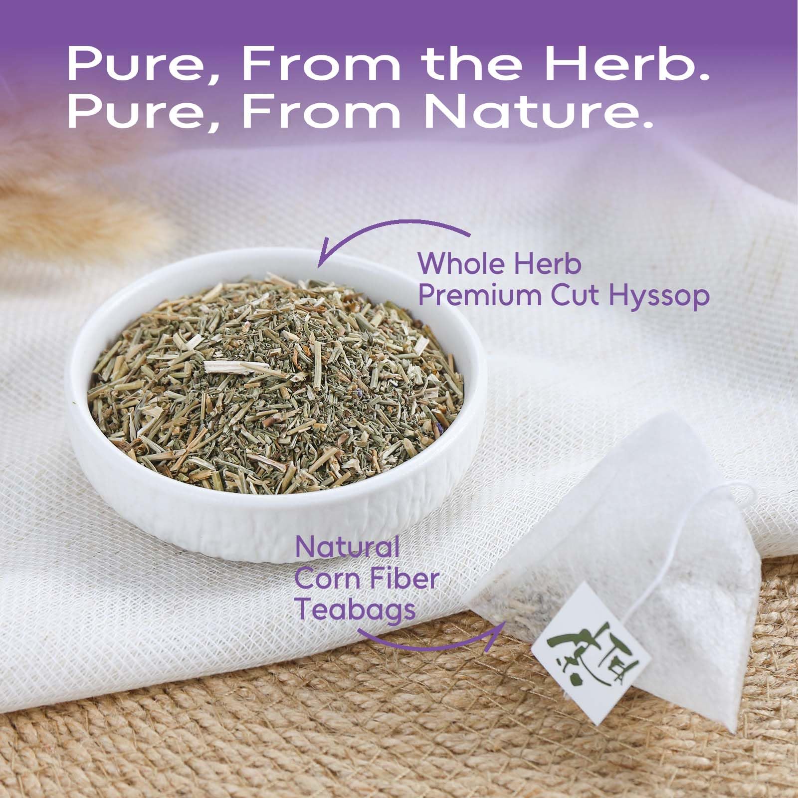 FullChea Hyssop Tea cup steaming offering a caffeine-free moment of calm.