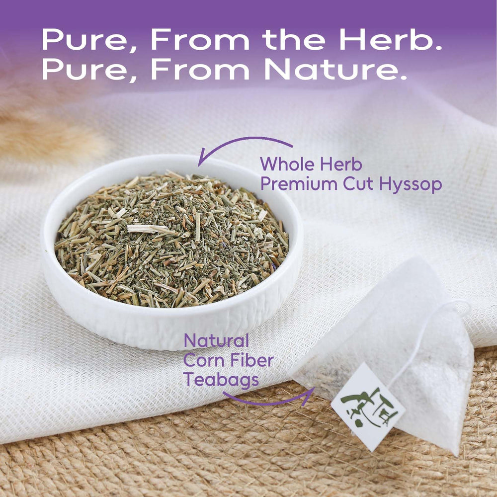 FullChea Hyssop Tea cup steaming offering a caffeine-free moment of calm.