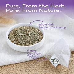 FullChea Hyssop Tea cup steaming offering a caffeine-free moment of calm.