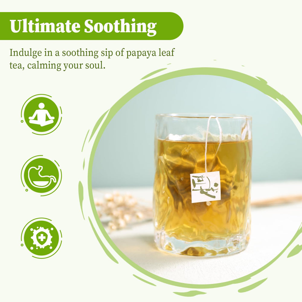 FullChea natural-corn-fiber-tea-bags highlight eco-friendly, clean packaging.