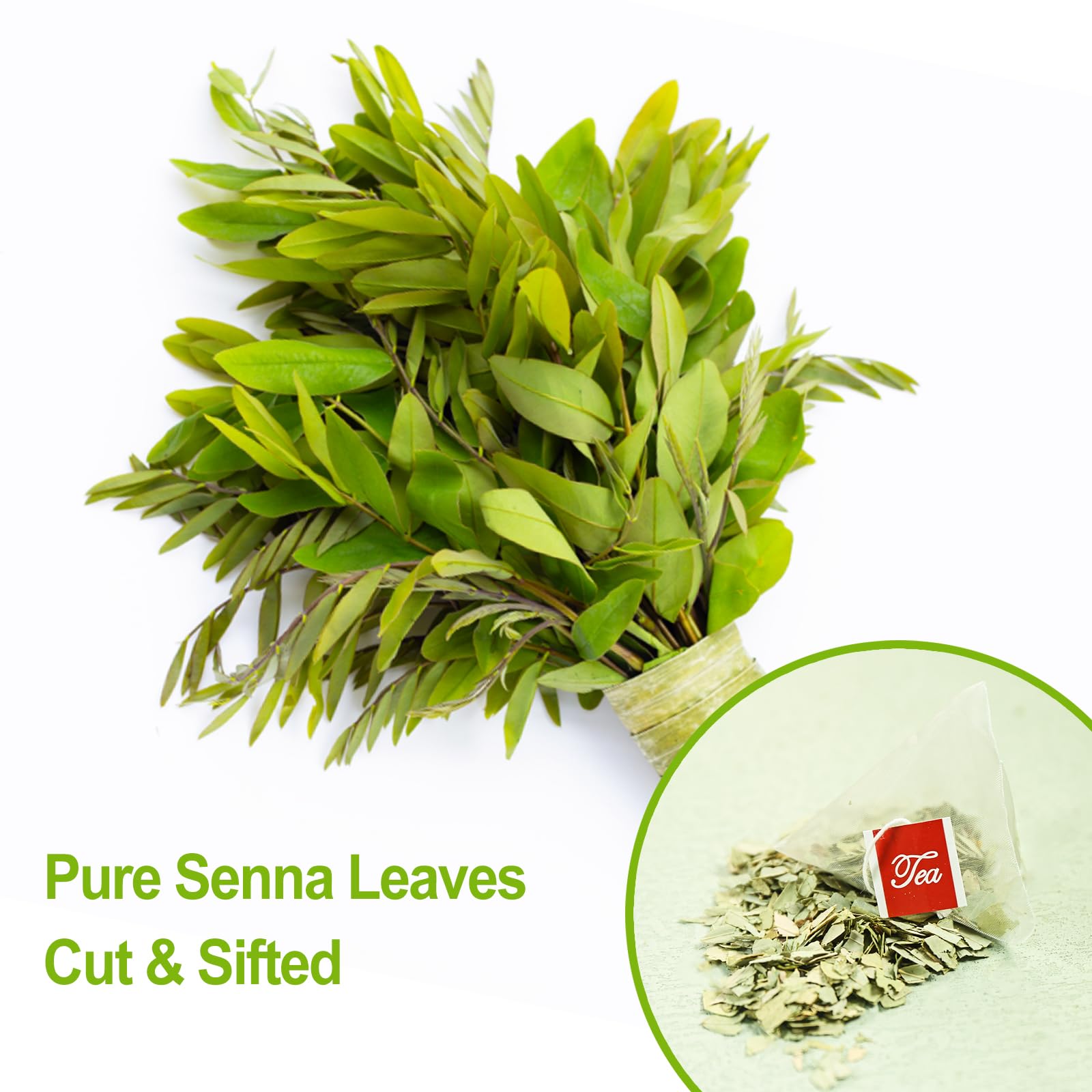 FullChea Senna Tea harvest on an Indian farm