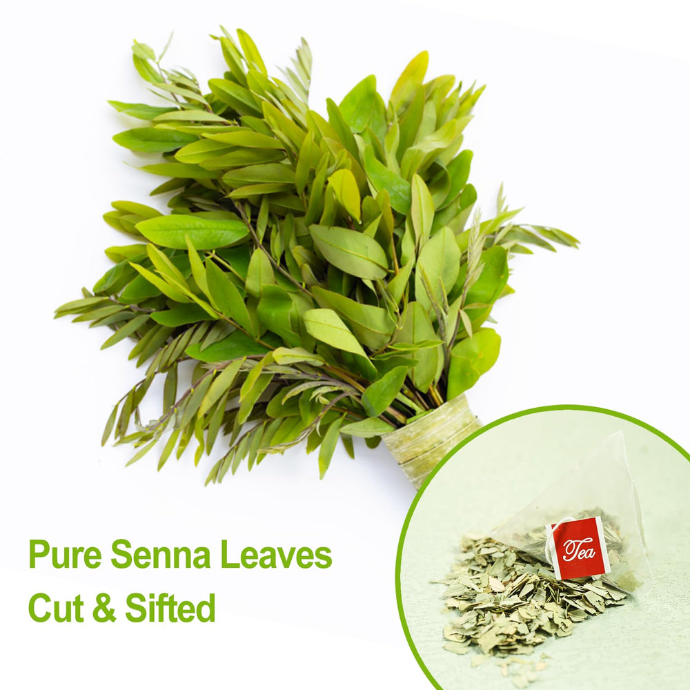 FullChea Senna Tea harvest on an Indian farm
