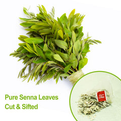 FullChea Senna Tea harvest on an Indian farm