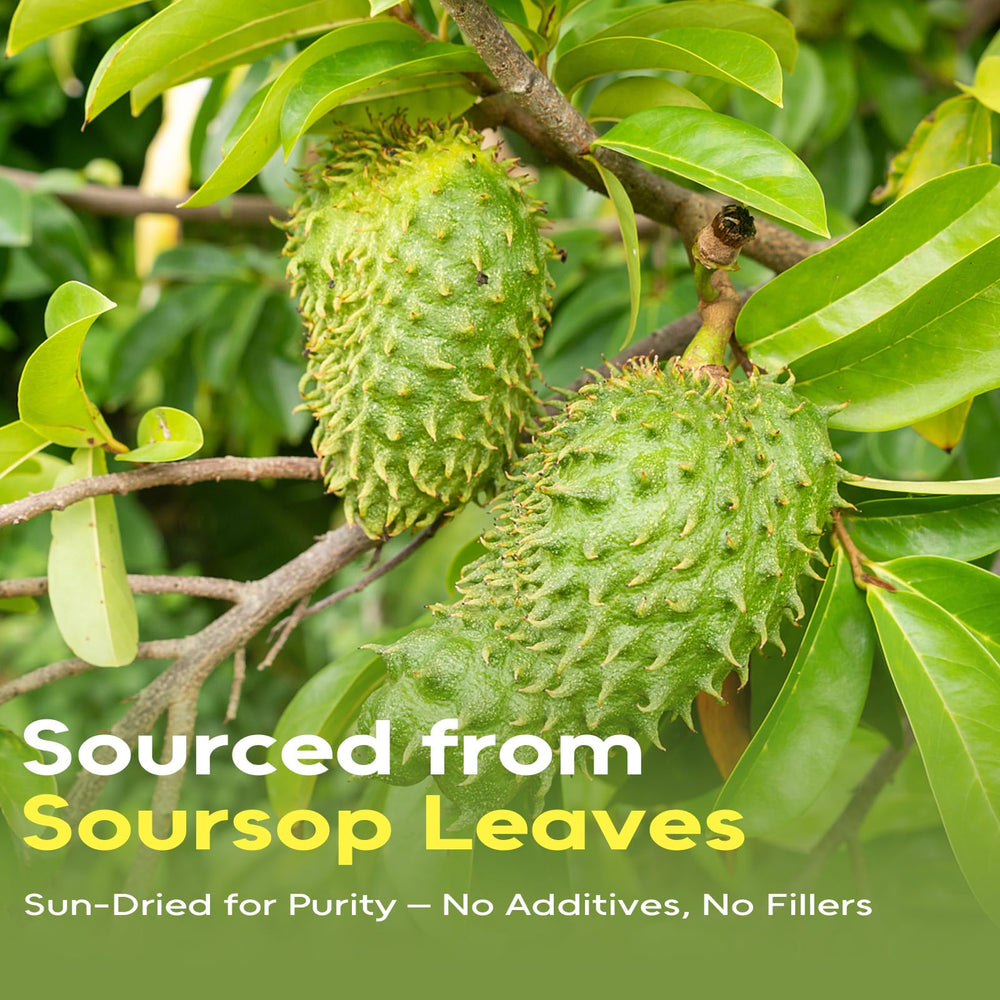 FullChea corn fiber tea bags hold shape while releasing full flavor.