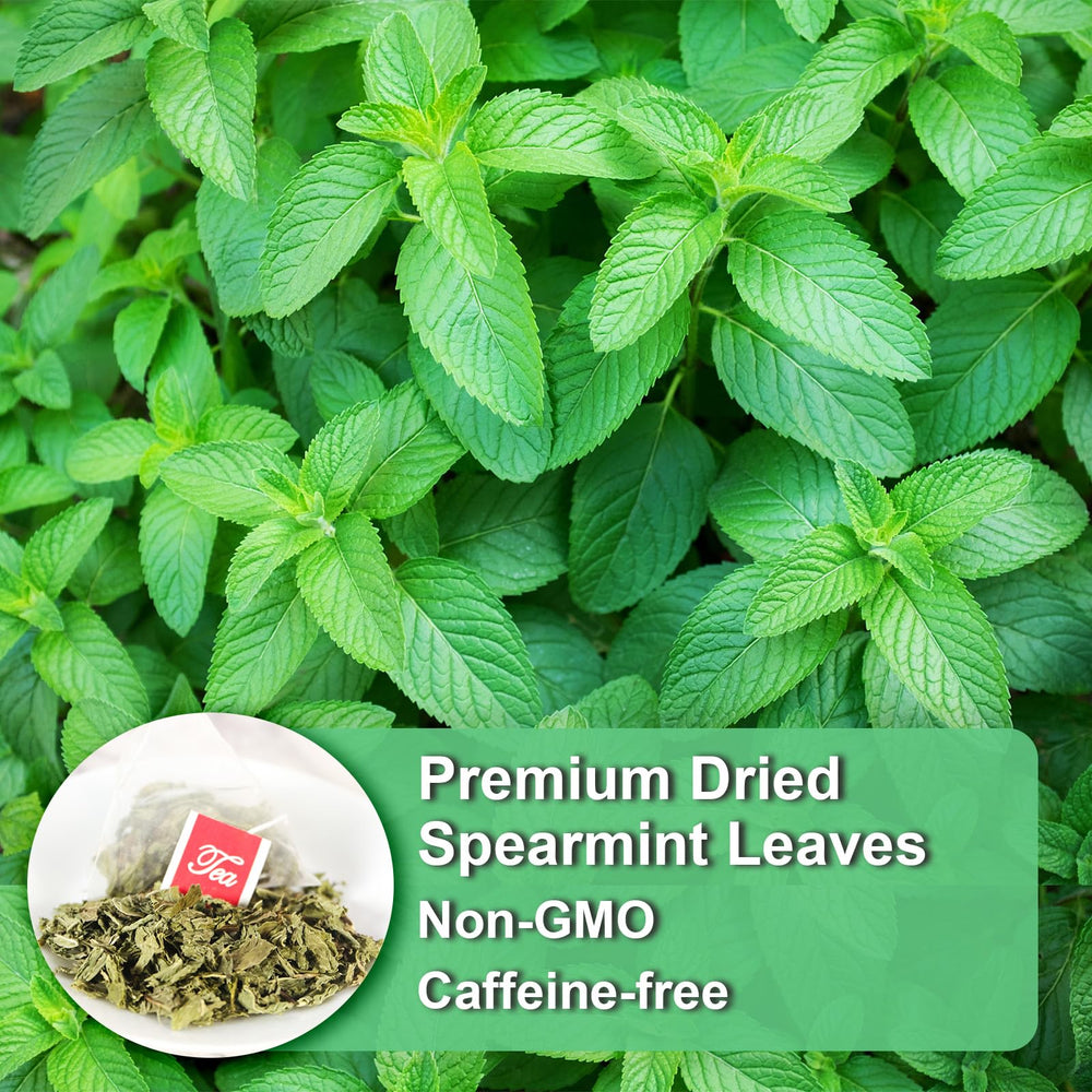 FullChea Spearmint Tea Bags in cup steeping delivers a refreshing, soothing sip.
