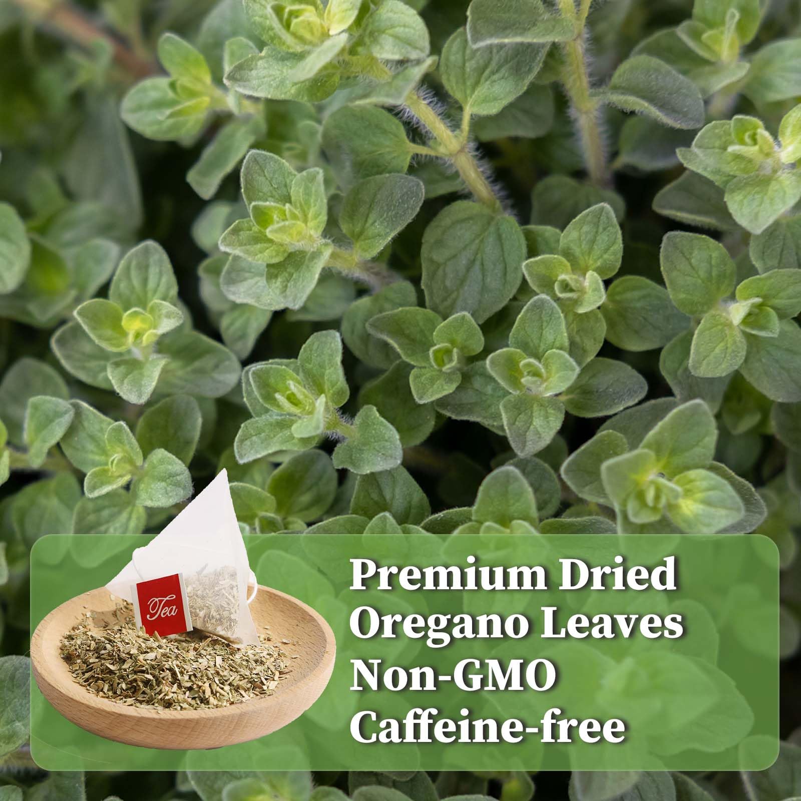 FullChea steaming oregano tea cup capturing a comforting caffeine-free moment.