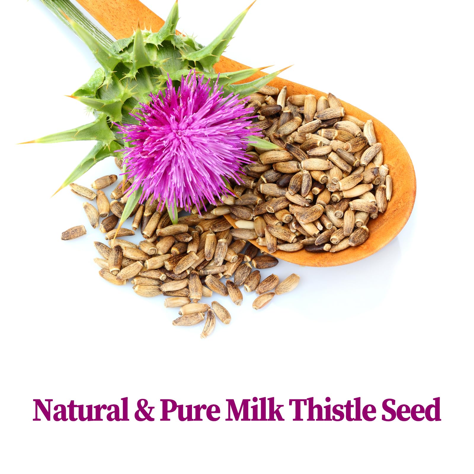 FullChea milk thistle tea bags steeping to release mild flavor.