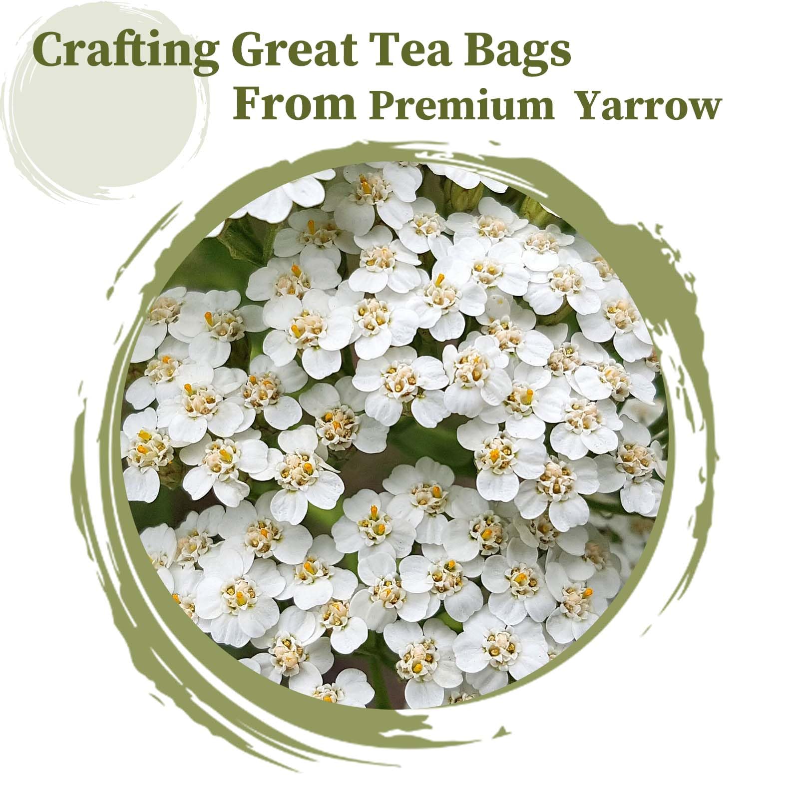 FullChea Yarrow tea bags cup brew closeup highlights soothing flavor and relaxation.