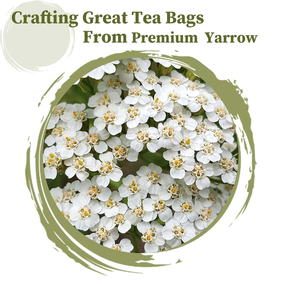 FullChea Yarrow tea bags cup brew closeup highlights soothing flavor and relaxation.