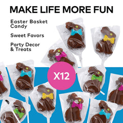Close-up of a Fun Express bunny lollipop highlighting rich chocolate flavor