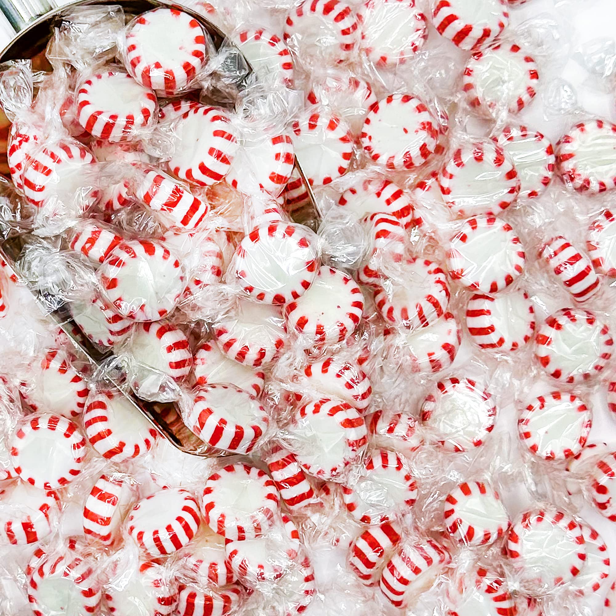 Fusion Sweets Starlight Peppermint Hard Candy back-view bulk display