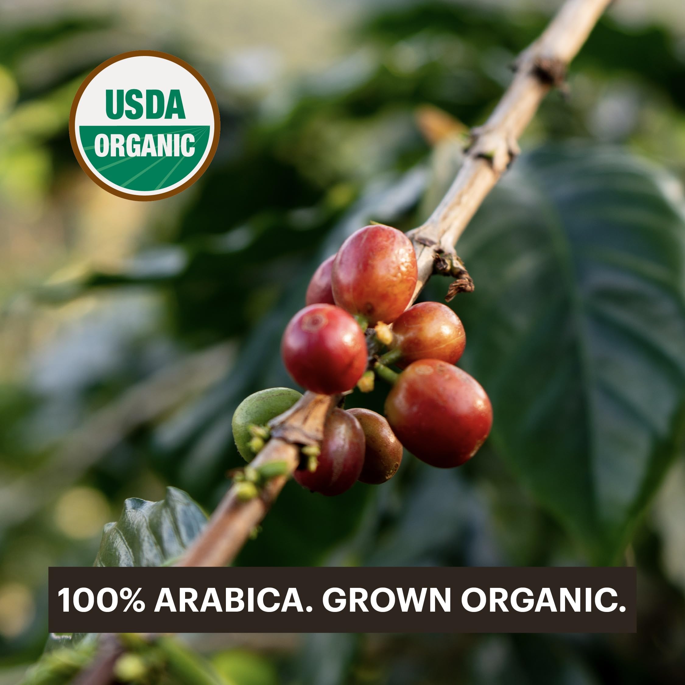 G Grana compatible with Nespresso OriginalLine machines for seamless brewing.