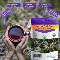 Gabio Green herbal tea brew in a cup with inviting aroma.