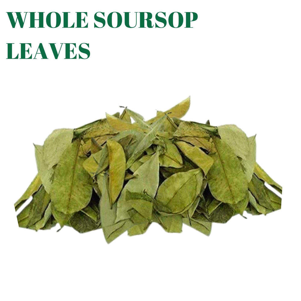 Gabio Green Kitchen-use Soursop Leaves convenient for herbal tea rituals.