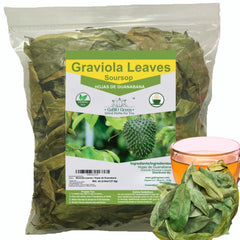 Gabio Green Soursop Leaves Premium provides a large infusion base with aromatic, inviting notes.