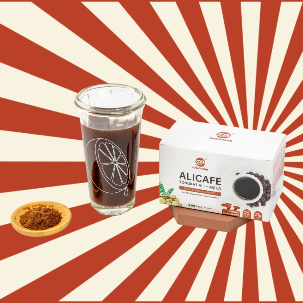 GANOHERB Maca Energy Coffee display with multiple sachets per box