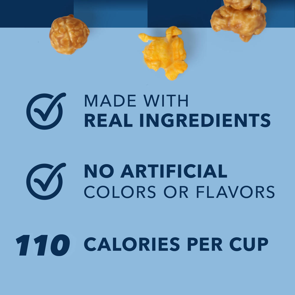 Garrett Popcorn Garrett Mix texture close-up reveals cheese and caramel layers.