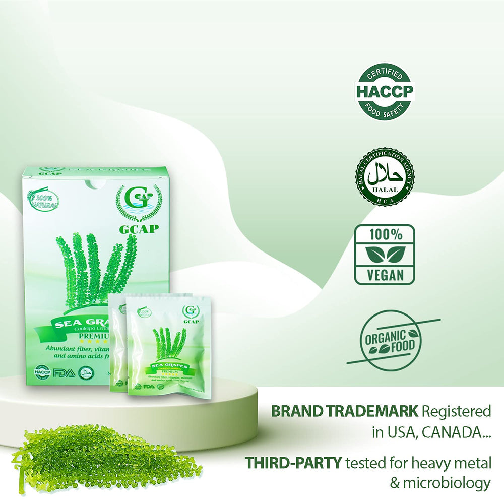 GCAP Sea Grapes farm-nha-trang coast image, origin for fresh, flavorful seaweed ingredients.