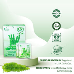 GCAP Sea Grapes farm-nha-trang coast image, origin for fresh, flavorful seaweed ingredients.