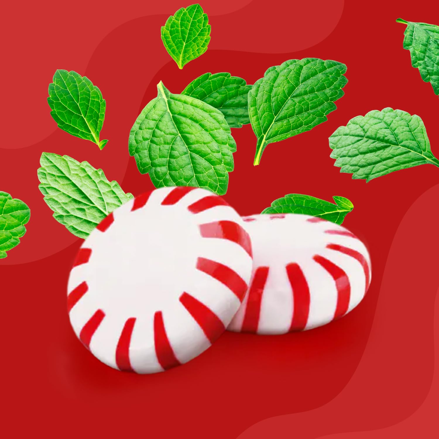 GEEOOLLAH Starlight peppermint candies for holiday gatherings and gifting.