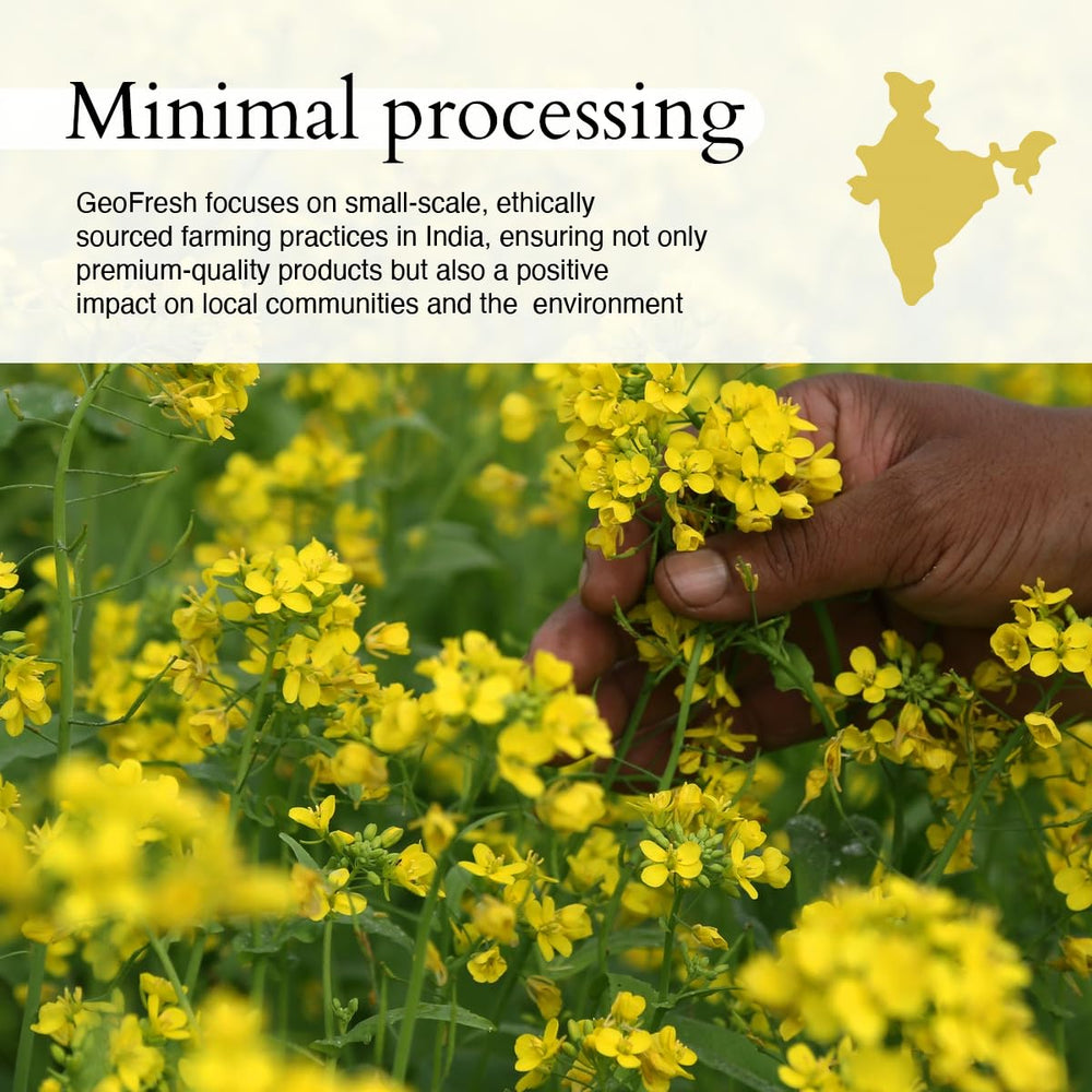 Geo-Fresh Mustard Powder in a bowl for dressings, dips, and sauces.